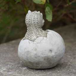 Dinosaur in Egg Shell Carnotaurus Stone Statue - Outdoor Garden Ornament Decor - thumbnail 3