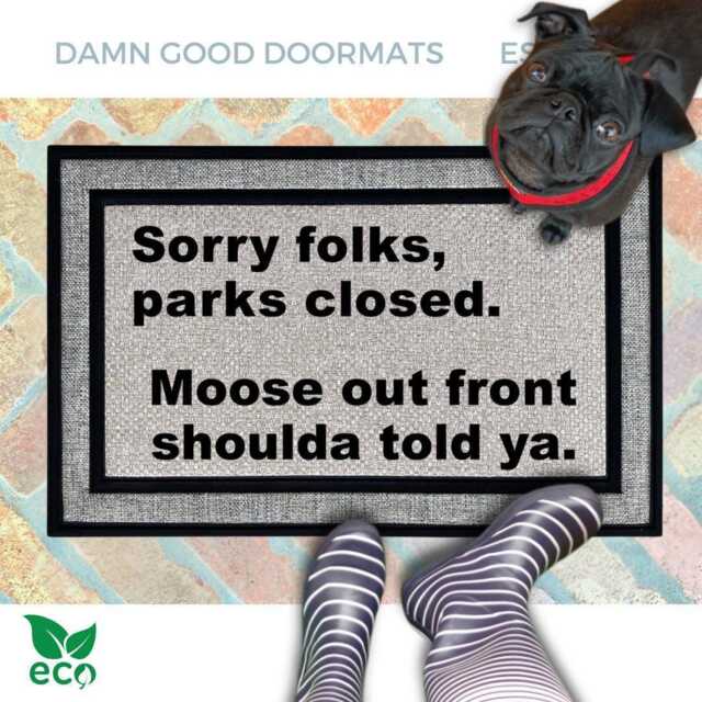 Funny Moose Doormat Wally World Vacation Sarcastic Welcome Mat - image 1