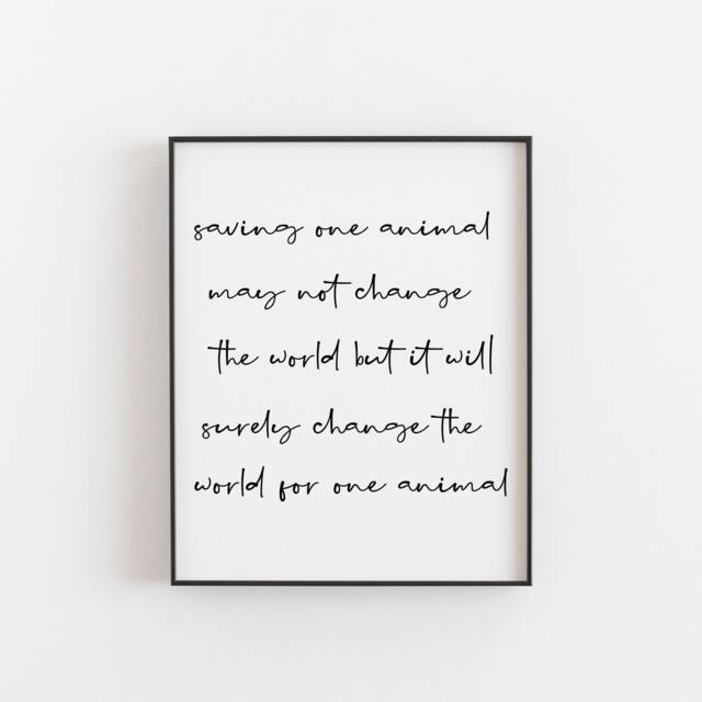 Veterinarian Gift, Vet Veterinary Decor, Gifts, Student, Love, Office A3 Print, Poster, 11x14 Art - image 1