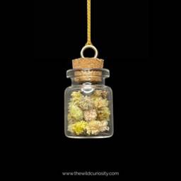 Oddity Ornament - Gypsophila Dried Flowers in Glass Jar Christmas Gifts Hanging Decor - thumbnail 3