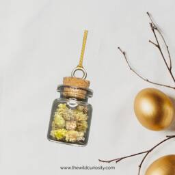 Oddity Ornament - Gypsophila Dried Flowers in Glass Jar Christmas Gifts Hanging Decor
