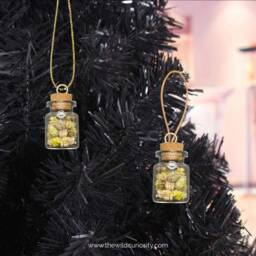 Oddity Ornament - Gypsophila Dried Flowers in Glass Jar Christmas Gifts Hanging Decor - thumbnail 2