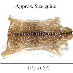 Premium Axis Deer Hide - Rug Throw Pelt - thumbnail 3