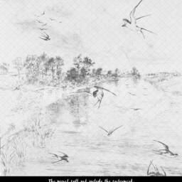Swallow Landscape Wall Mural, Decor, Removable Wallpaper, Peel & Stick, Repositionable, Self Adhesive, Mural #147 - thumbnail 3