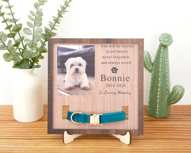 Custom Memorial Standing Frame, Memorial Pet Collar With Photo, Puppy Wood Frame Display, in Loving Memory, Pet Loss Gifts - image 1