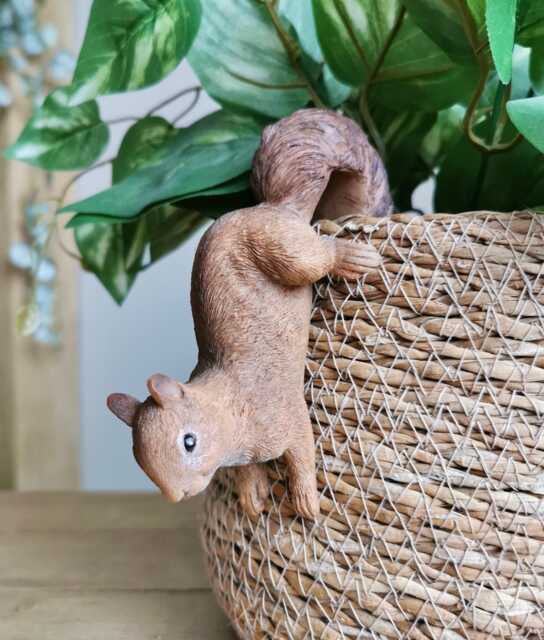 Squirrel Pot Hanger, Autumn Home Decor, Animal Ornaments, Gift, Buddy - image 1