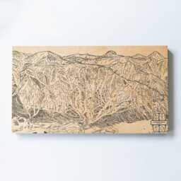 Jackson Hole Wyoming Ski Trail Map - Engraved Wood Wall Art, Winter Sport Cabin Decor, Snowboard Mountain Trail, Personalized Family Gift - thumbnail 2