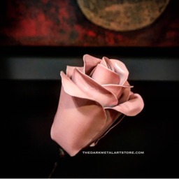 Natural Pink Eternity Rose - 1