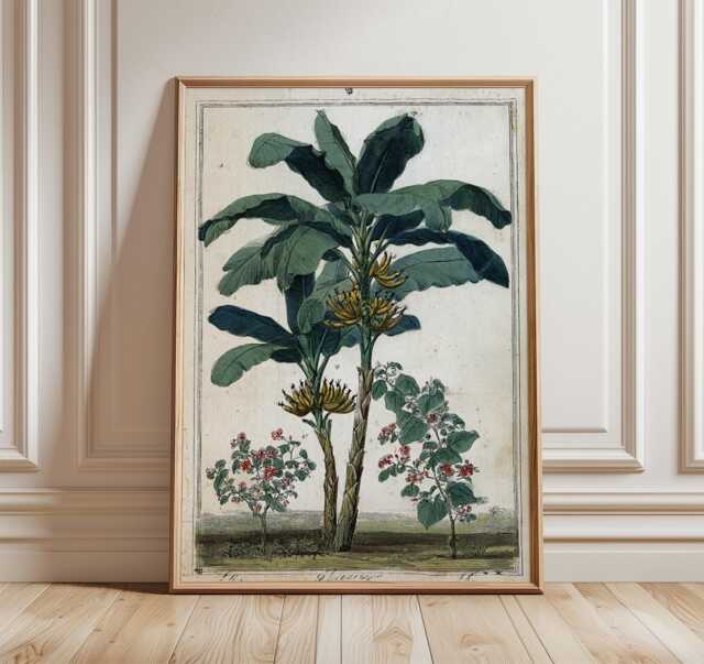 Vintage Banana Plant Wall Art, Botanical Print, Tropical Jungle Poster, Antique Nature Illustration, Green Leaf Decor, Modern Home Print - image 1