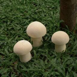 3 Set Mushroom Stone Carving, Garden D??cor, Statue, Mushroom, Room Home Christmas Gift, Housewarming - thumbnail 3