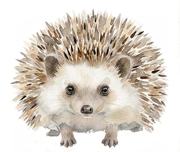 Hedgehog Wall Decal, Fabric Watercolor Sticker, Woodland Nursery, Forest Animal