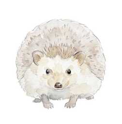 Hedgehog Wall Decal, Fabric Watercolor Sticker, Woodland Nursery, Forest Animal - thumbnail 1