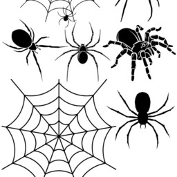Halloween Decor, Spider Decals, Web Party Decorations, Wall Web Decals - thumbnail 2