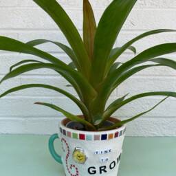 "Mosaic Terracotta Flower Pot ""Time To Grow" - thumbnail 2