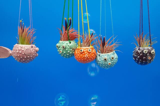 Mini, Hanging Puffer Fish Planters, Air Planter - image 1