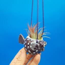 Mini, Hanging Puffer Fish Planters, Air Planter - thumbnail 3