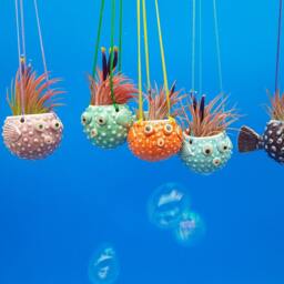 Mini, Hanging Puffer Fish Planters, Air Planter - thumbnail 2