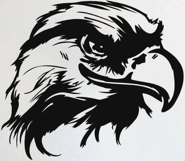 Large 23x23 Hawk Eagle Vinyl Car Bonnet Side Sticker Decal Wall Art Animal Safari Jungle Graphic Silhouette Van Lorry Motorhome Campervan