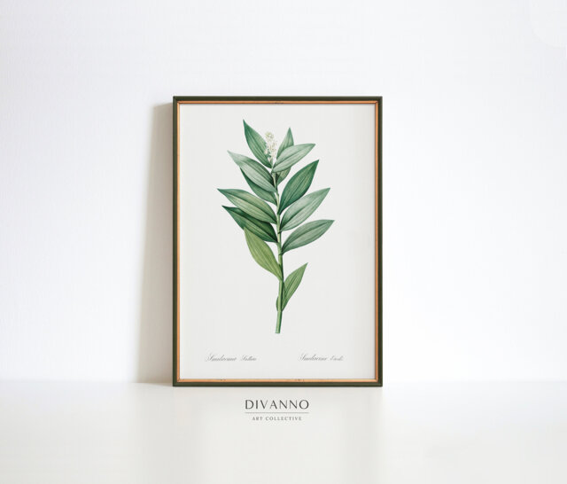 Wildflower Print, Antique Starflower Wall Art, Botanical Poster, Farmhouse Floral Decor, Woodland Herb Art Chart, Garden Canvas, Print Gift - image 1