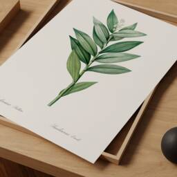 Wildflower Print, Antique Starflower Wall Art, Botanical Poster, Farmhouse Floral Decor, Woodland Herb Art Chart, Garden Canvas, Print Gift - thumbnail 2