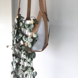Modern Plant Hanger Beige Hanging Planter Leather Minimalistic Indoor Boho Decor Scandi Style Greenery Decoration - thumbnail 3