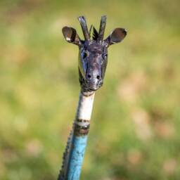 Recycled Metal Coloured Giraffe. Safari Outdoor Statue - thumbnail 3