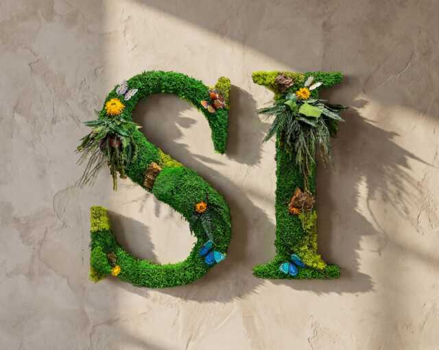 Preserved Moss Letter Custom Sign For Office Wall Decor & Woodland Nursery - image 1