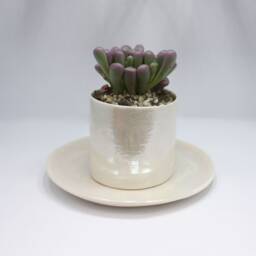 Ceramic Plant Pot, Succulent Planter, Gifts For Gardener, Air Holder Lovers Gift - Christmas Present - thumbnail 3
