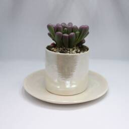 Ceramic Plant Pot, Succulent Planter, Gifts For Gardener, Air Holder Lovers Gift - Christmas Present - thumbnail 2