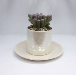 Ceramic Plant Pot, Succulent Planter, Gifts For Gardener, Air Holder Lovers Gift - Christmas Present - thumbnail 1
