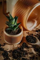 Small Planter 71P02.120.oak/3D Printed Pot Ecofriendly & Geometric Unique Gift For Cactus Lover