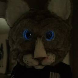 Giant Realistic Cat Head - thumbnail 3