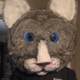 Giant Realistic Cat Head - thumbnail 2