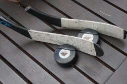 Wild Stick & Puck Business Card Holder - thumbnail 1