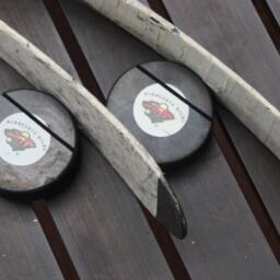 Wild Stick & Puck Business Card Holder - thumbnail 2