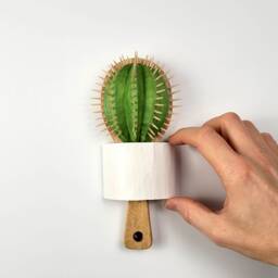 Handmade Wooden Cactus Hairbrush Sculpture, Botanical Wall Art - thumbnail 1