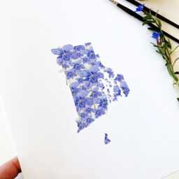 Rhode Island State Flower Map Watercolor Violet - Art Print Wall Grad Wedding Anniversary Realtor Moving Gift New England Northeast - thumbnail 2