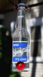 Upcycled Soda Bottle Hummingbird Feeder Barq's Root Beer - thumbnail 1