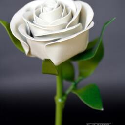 Metal Long Stem White Rose, Graduation, Easter, Wedding Gift, Flower, Large Rose - thumbnail 2