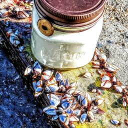 Caribbean Teakwood Scented Soy Candle - thumbnail 2