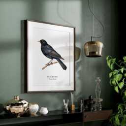 Bird Wall Art, Print, Garden Birds, Lover Gift, Watching, Illustration, Blackbird, Decor - thumbnail 3