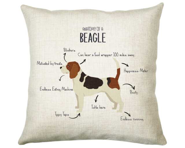 Anatomy Of A Beagle Funny Gift For Him Or Her Cushion Pillow Bedroom Decor Cs375 - image 1