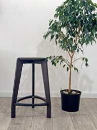 Black Birch Plywood Bar Stool, Three Leg Design, 24/26 Inch Height - thumbnail 1