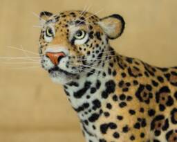 Made To Order Needle Felted Jaguar Custom Needle Felted Animal Sculpture
