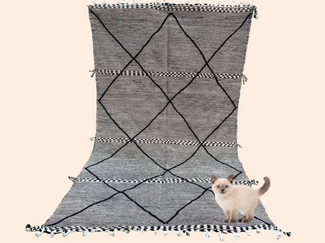 Handwoven Moroccan Hanbel Rug 6x10.5, Flatweave Berber - image 1