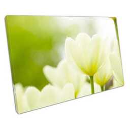 Elegant White & Green Floral Canvas Modern Wall Art For Home & Office Spaces - thumbnail 1