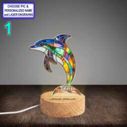 Personalized Colorful Dolphin Acrylic Night Light With Name Engraving, Beech Wood Led Lamp, Custom Laser Engraved Gift