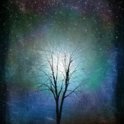 starry Night, Tree Art Print.blue-Tree Print Giclee Print, Art, Print, Gift, Art Collectibles, Wall Art, Wall Decor - thumbnail 3