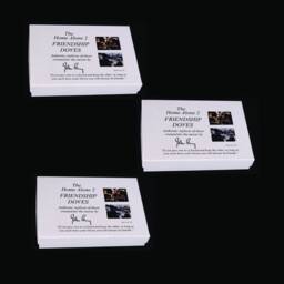 Home Alone Turtle Doves 3 Pairs Option By John Perry - thumbnail 1