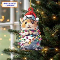 Custom Name Cute Hamster Christmas Lights Personalized Ornament, Tree Hanging Decor, Flat 2D Ornament - thumbnail 1